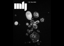 Refle-x-périmental #22 Real Life